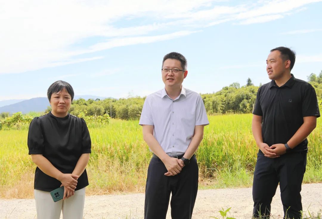 徐彥峰督導耕地流失整改和公益林保護工作